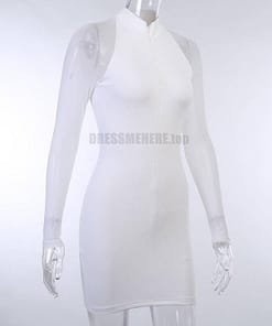 Long Sleeve Zip Up Meshed Sleeves Half Turtleneck Patchwork Dress Meshed Sleeves Half Turtleneck Patchwork Dress LONG SLEEVE ZIP UP DRESSES color: White